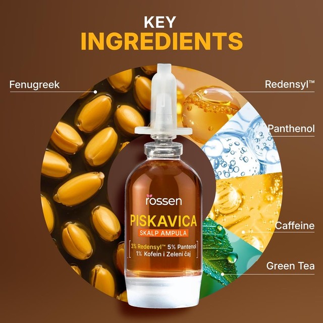 SLAJD-3---KLJUÄNI-SASTOJCI--ENG